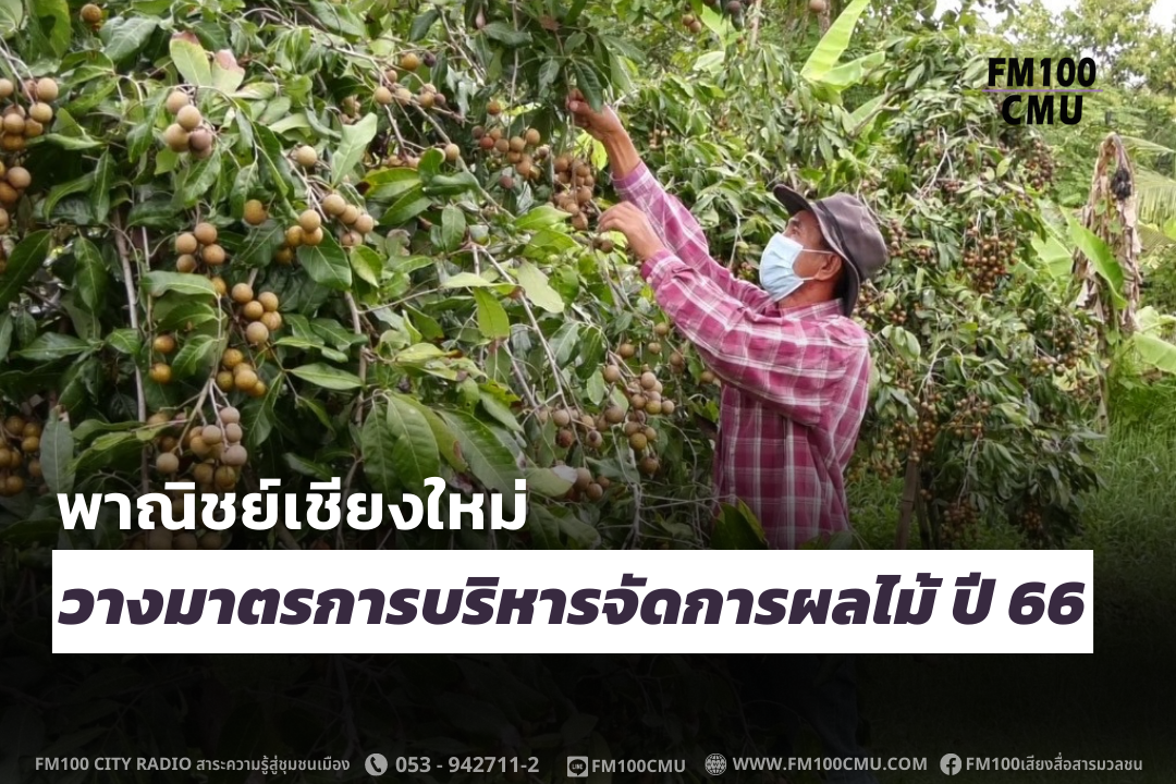 สำนักงานพาณิชย์จังหวัดเชียงใหม่ วางมาตรการบริหารจัดการผลไม้ ปี 66 ด้านผู้ว่าราชการจังหวัดเชียงใหม่ สั่งดูแลเชิงรุก หาตลาดและช่องทางกระจายสินค้า หวังให้เกษตรกรขายผลผลิตได้ในราคาสูง ไม่ถูกกดราคา