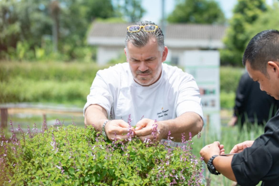 สมาคมผู้บริโภคอินทรีย์ไทย จับมือ ททท. ส่งเสริม “ท่องเที่ยววิถีอินทรีย์ Organic Tourism” ต่อเนื่อง สร้างประสบการณ์การเที่ยวเปลี่ยนแปลงโลก 