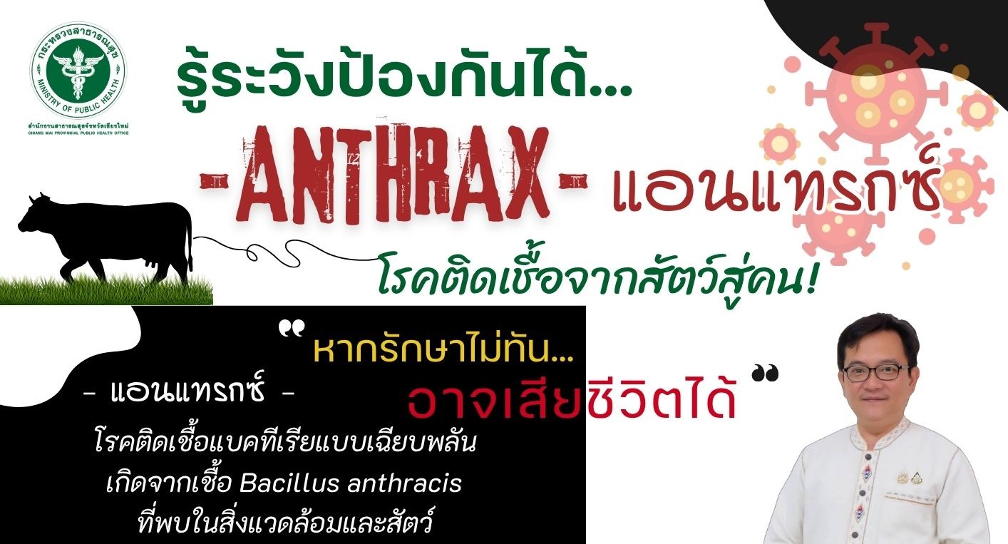 สสจ.เชียงใหม่ เตือนประชาชนหลีกเลี่ยงการบริโภคเนื้อสัตว์ที่ไม่ผ่านการปรุงสุก และการชำแหละหรือสัมผัสสัตว์ที่ตายโดยไม่ทราบสาเหตุ เพื่อป้องกันการติดโรคแอนแทรกซ์“หากรักษาไม่ทันอาจเสียชีวิตได้” สสจ.เชียงใหม่ เตือนประชาชนหลีกเลี่ยงการบริโภคเนื้อสัตว์ที่ไม่ผ่านการปรุงสุก และการชำแหละหรือสัมผัสสัตว์ที่ตายโดยไม่ทราบสาเหตุ เพื่อป้องกันการติดโรคแอนแทรกซ์“หากรักษาไม่ทันอาจเสียชีวิตได้”
